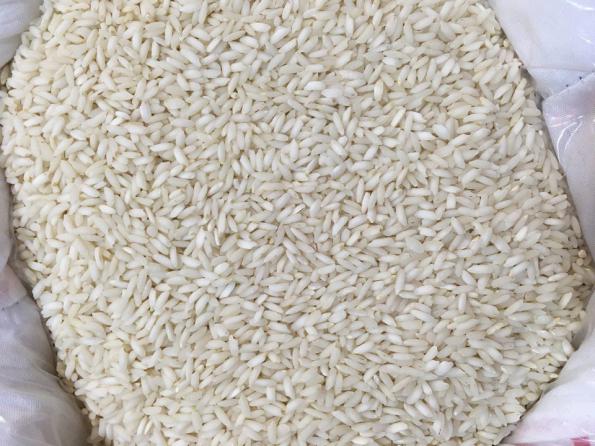 قیمت روز برنج عنبر بو خوزستان 