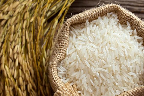 کارخانه تولیدی برنج عنبر بو درجه یک در خوزستان