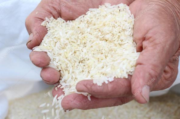 قیمت روز برنج عنبر بو صادراتی اهواز