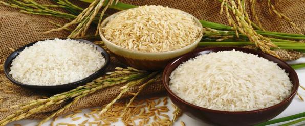 فرق میان برنج عنبر بو با برنج چمپا چیست؟