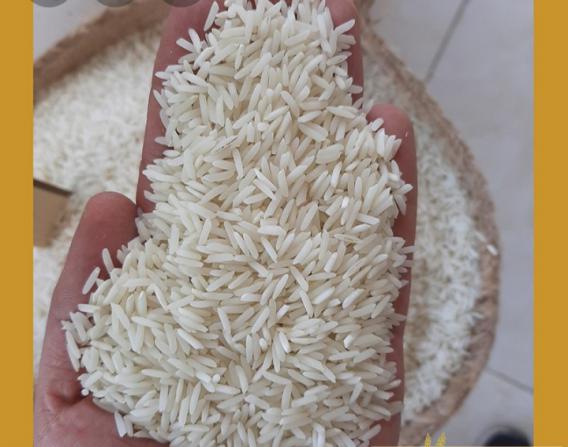 شرکت پخش برنج عنبر بو سبوس دار جنوب
