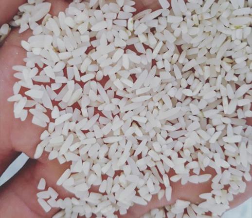 تولید کننده برنج نیم دانه عنبربو
