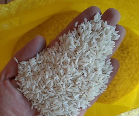 مشخصات انواع برنج عنبربو صادراتی