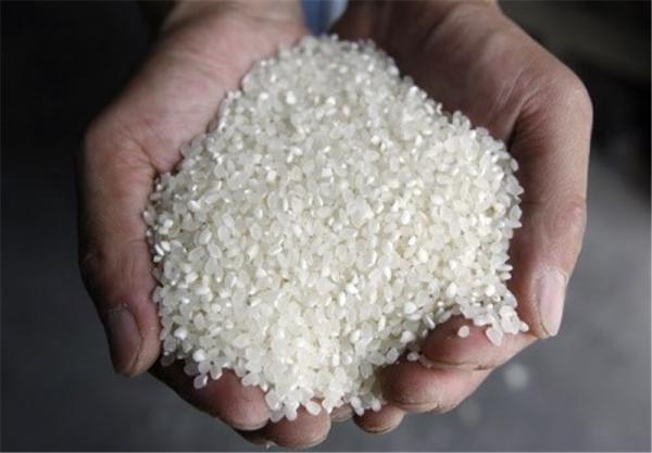 بازار فروش برنج نیم دانه معطر