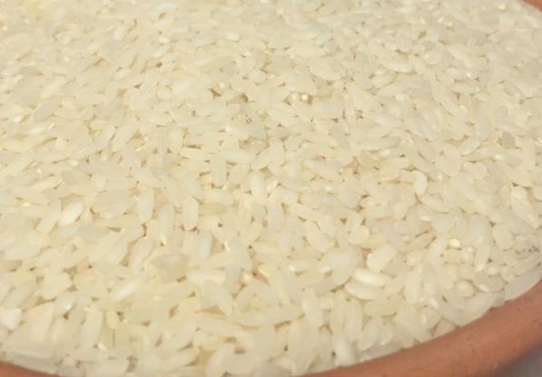 تولید انواع برنج عنبربو جنوب
