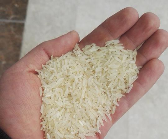 خرید انواع برنج عنبربو ۱۰ کیلویی