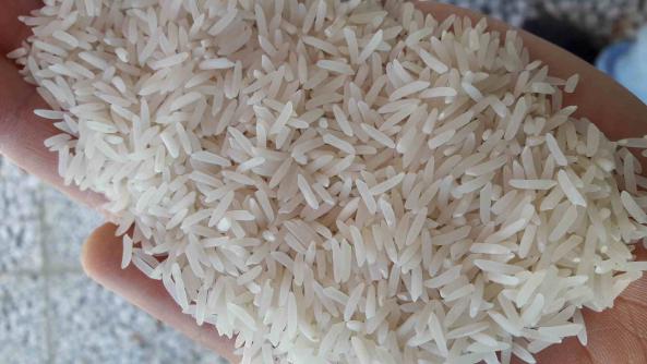 کیفیت ممتاز برنج عنبربو اهواز