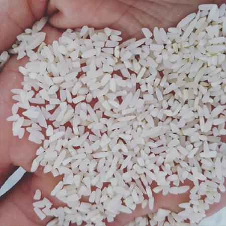 مشخصات بارز برنج نیم دانه هاشمی