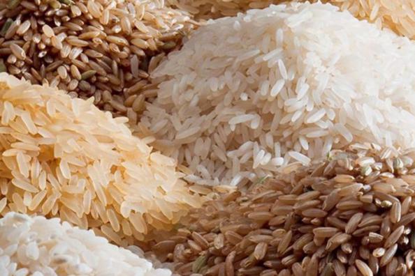 نحوه تولید برنج نیم دانه محلی