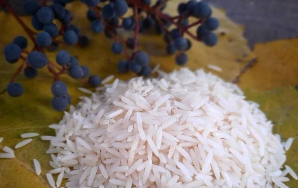 قیمت تولیدی برنج عنبربو اعلا