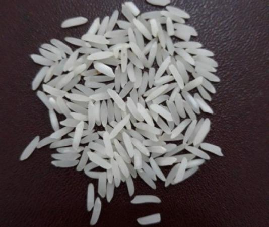 مراکز فروش برنج عنبربو صادراتی