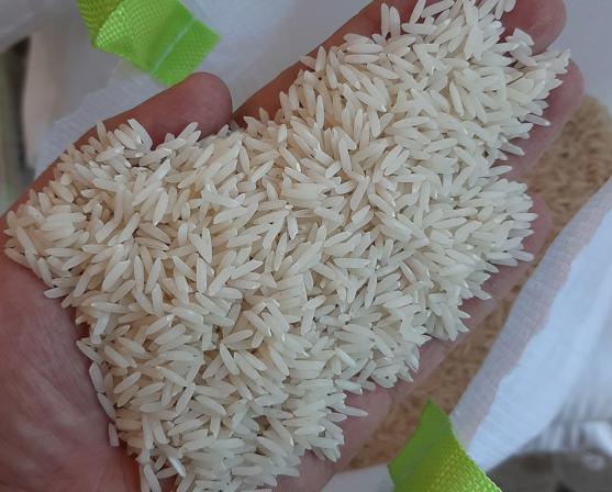 همه چیز درباره برنج عنبربو کیلویی