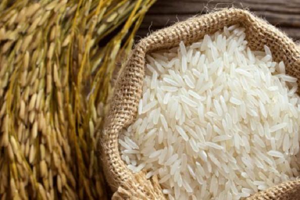 خرید ارزان برنج عنبربو صادراتی