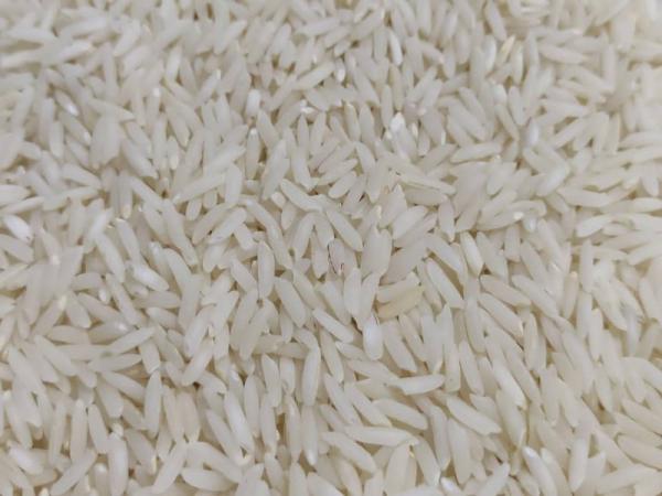 قیمت تولیدی برنج عنبربو معطر