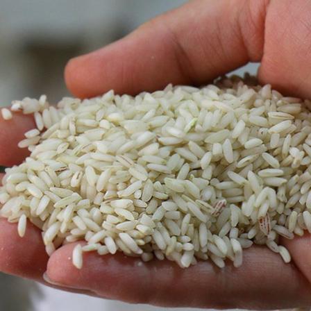 کیفیت برنج نیم دانه عطری درجه یک