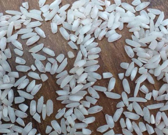 تولید کننده برنج عنبربو درجه یک