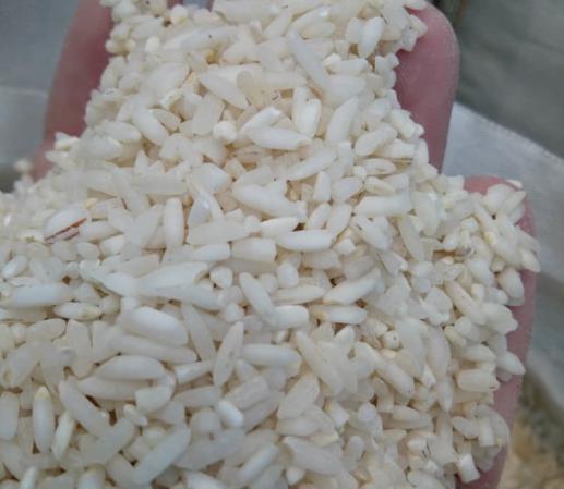 بررسی کیفی برنج عنبربو عطری