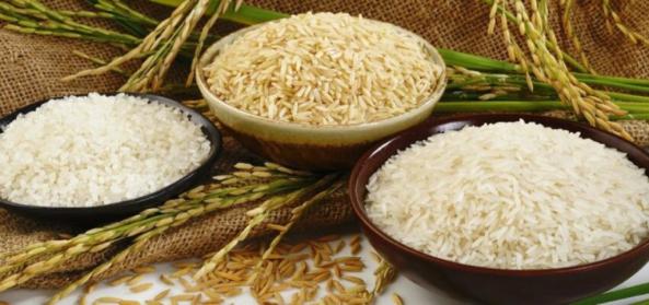 کیفیت انواع برنج عنبربو صادراتی
