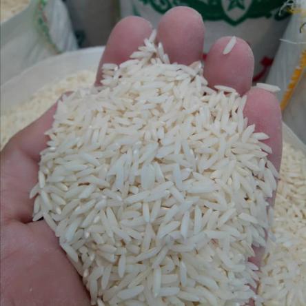 تولید کننده برنج عنبربو مرغوب