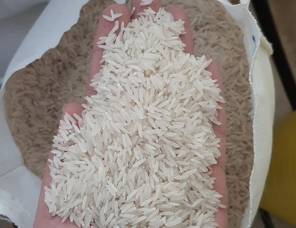 مراکز فروش برنج عنبربو تمیز شده
