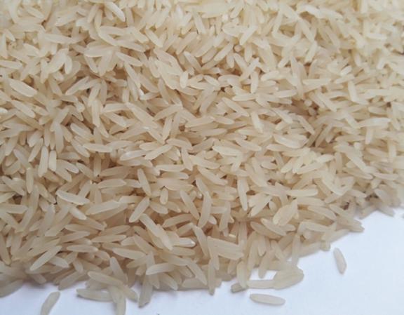 صادرات برنج عنبر بو