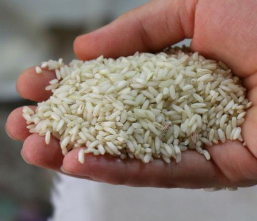 بررسی کیفی برنج عنبربو کیسه ای