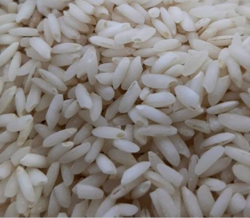 تولید ویژه برنج عنبربو مجلسی