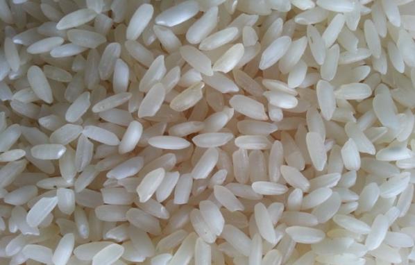 مشخصات انواع برنج عنبربو خوزستان
