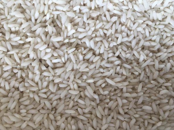 تفاوت برنج عنبر بو جنوب با چمپا چیست؟