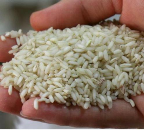 علت نامگذاری برنج عنبر بو چیست؟