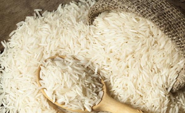 صادرات مستقیم برنج عنبر بو جنوب