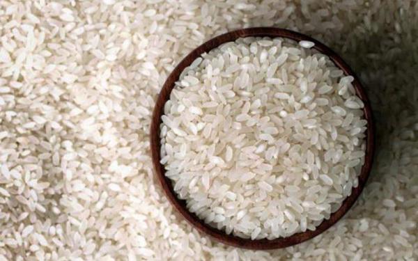صادرات برنج عنبر بو فله جنوب