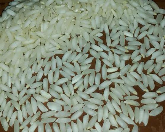بررسی شکل ظاهری برنج عنبر بو مرغوب