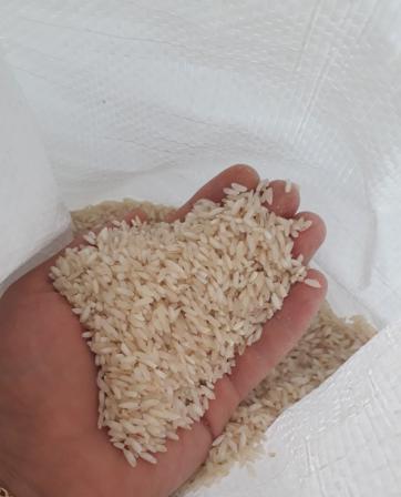 صادرات مستقیم برنج عنبر بو فله