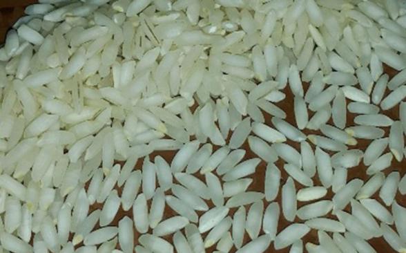توزیع کنندگان برنج عنبر بو مرغوب جنوب