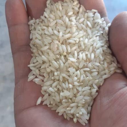 فاکتور های ضروری در انتخاب برنج عنبربو