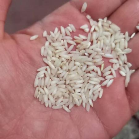 مشخصات برنج عنبر بو خوش عطر ایرانی
