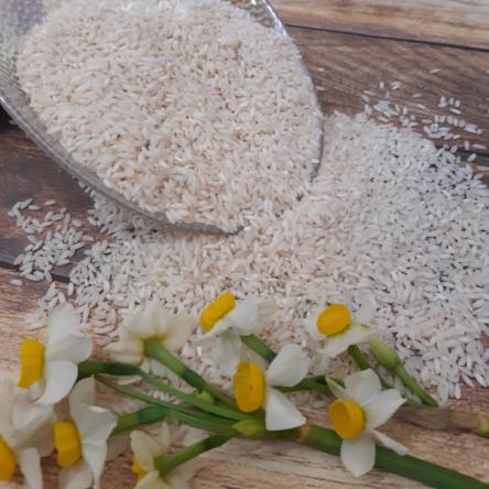 چند نکته مهم در خرید برنج عنبربو ارگانیک