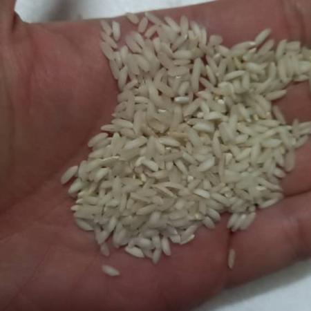 فروش عمده برنج عنبربو اصل با بهترین کیفیت