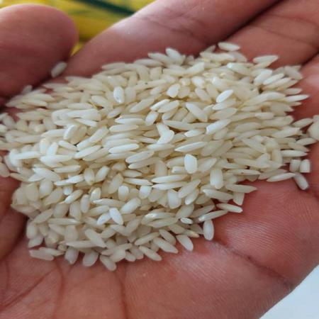 شرکت صادرات برنج عنبربو محلی خوش عطر