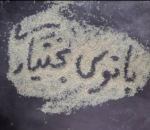 قیمت برنج عنبربو کرمانشاه