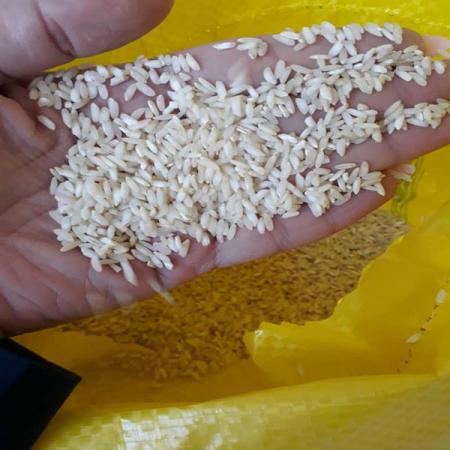 مراکز خرید برنج عنبربو ممتاز باکیفیت در ایران