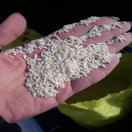 شرکت صادرکننده برنج عنبربو باکیفیت در کرج