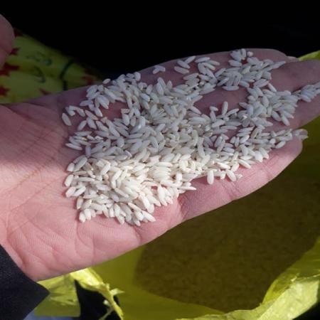 فروش فوق العاده برنج عنبربو خوش عطر در مشهد