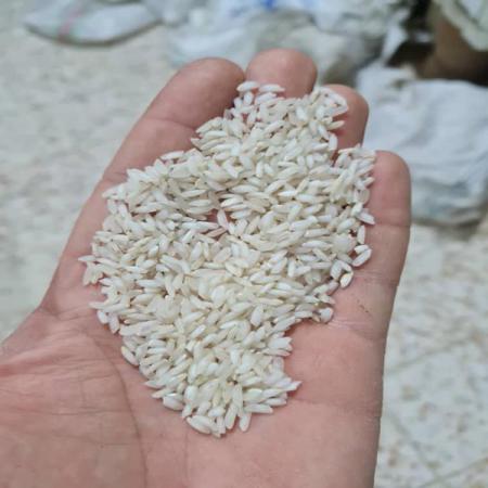 خرید اینترنتی برنج عنبربو باکیفیت از شمال