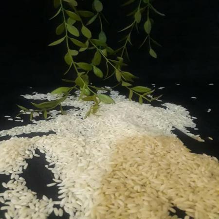 خرید عمده برنج شکسته عنبربو از بازار شیراز