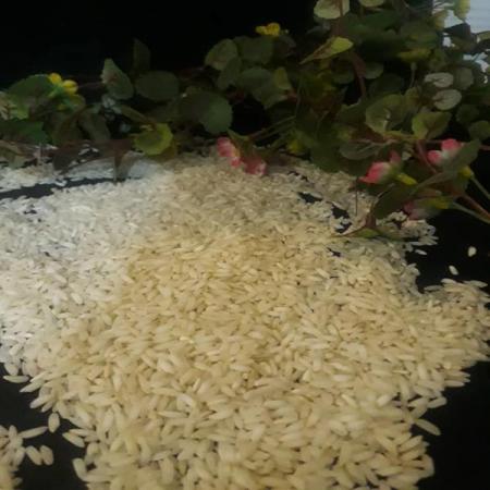 عوامل موثر بر بالا رفتن قیمت برنج عنبر بو ایرانی