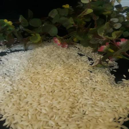 کدام نوع برنج عنبر بو در بازار از قیمت بالاتری برخوردار است؟