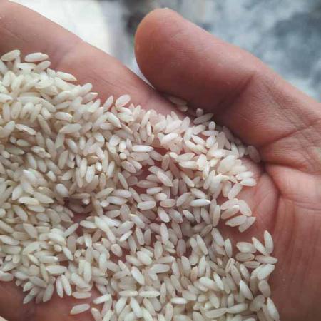 برنج عنبر بو درجه یک در اهواز