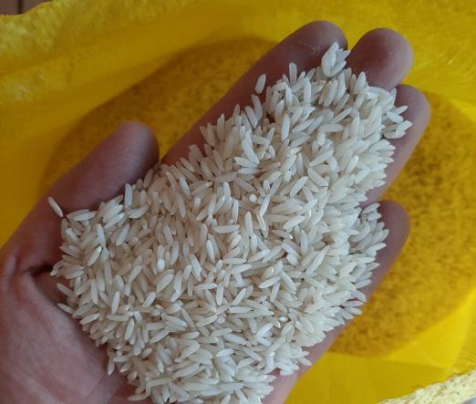نحوه صحیح قیمت گذاری برنج